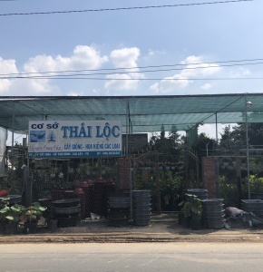Không gian vườn