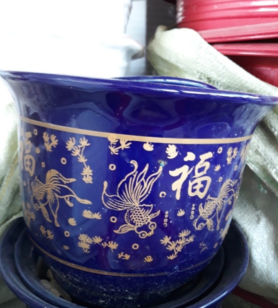Chậu Men xanh